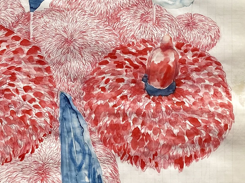 Coordenadas 7 (detalle) / Coordinates 7 (detail).  