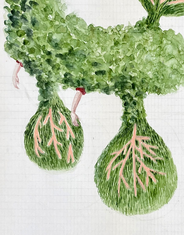 Coordenadas 10 (detalle) / Coordinates 10 (detail).  
Lápiz y acuarela sobre papel antiguo/ Pencil and watercolor on old paper. 56x44 cm. 2025