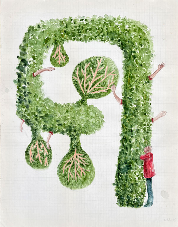 Coordenadas / Coordinates