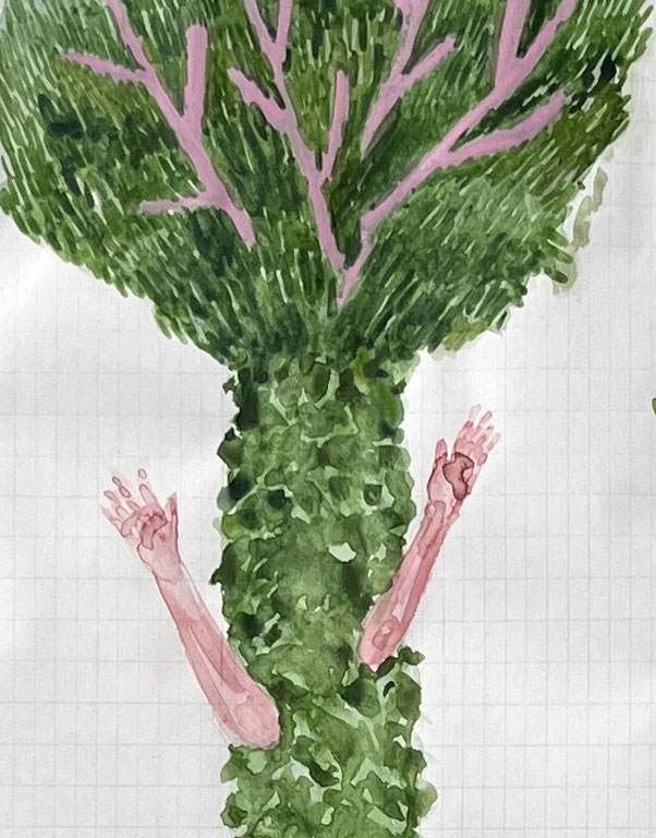 Coordenadas 9 (detalle) / Coordinates 9 (detail).  
Lápiz y acuarela sobre papel antiguo/ Pencil and watercolor on old paper. 56x44 cm. 2025