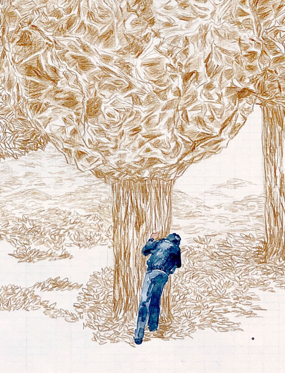 Coordenadas 3 (detalle) / Coordinates 3 (detail).  
Lápiz y acuarela sobre papel antiguo/ Pencil and watercolor on old paper. 44x56 cm.