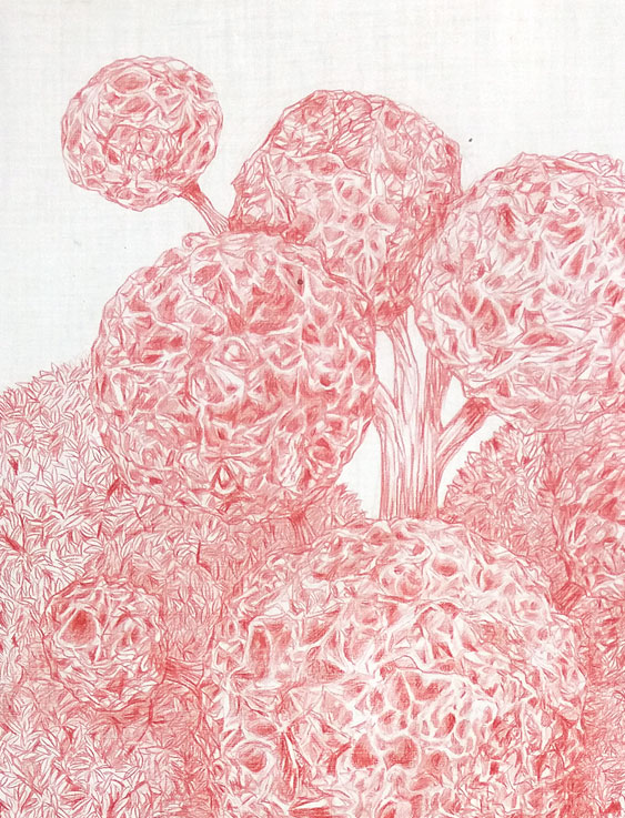 Coordenadas 2 (detalle) / Coordinates 2 (detail).  
Lápiz y acuarela sobre papel antiguo/ Pencil and watercolor on old paper. 56x44 cm.