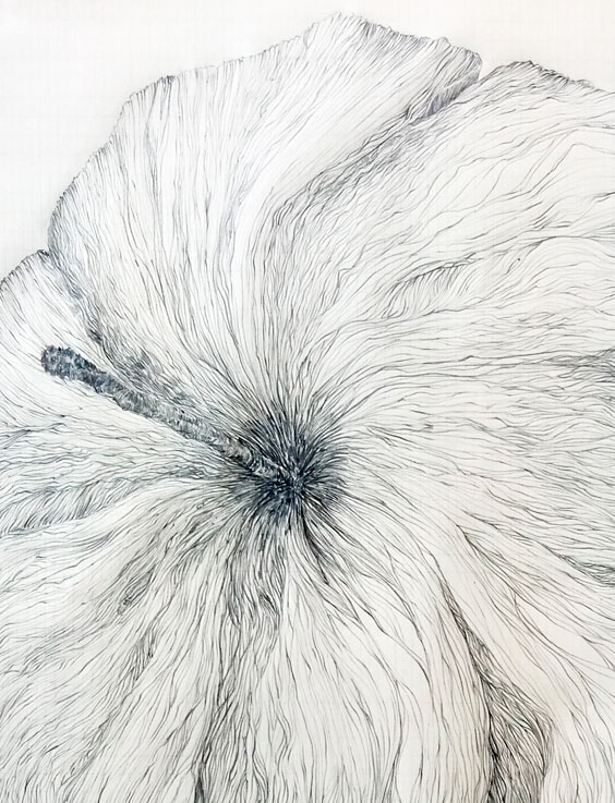 <p><span style="color: #808080; font-size: 8pt;">Trying to be natural (detalle).